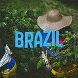 Ever Coffee Brazil single origin coffee beans