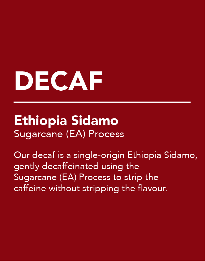 Ever Coffee Ethiopia Sidamo decaf pack label