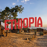 Ever Coffee Ethiopia Sidamo single origin coffee beans