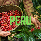 Ever Coffee Peru Sol & Café single origin coffee beans